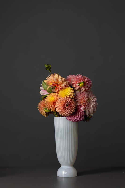 Blog Sample 1