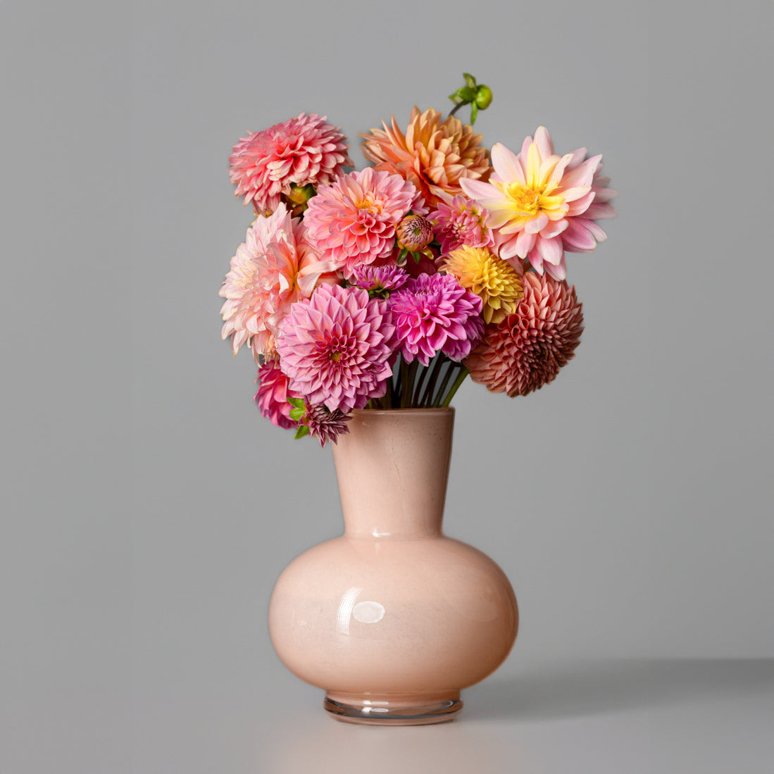 Rather Rooted Dahlia Mix – Kyandi Vase