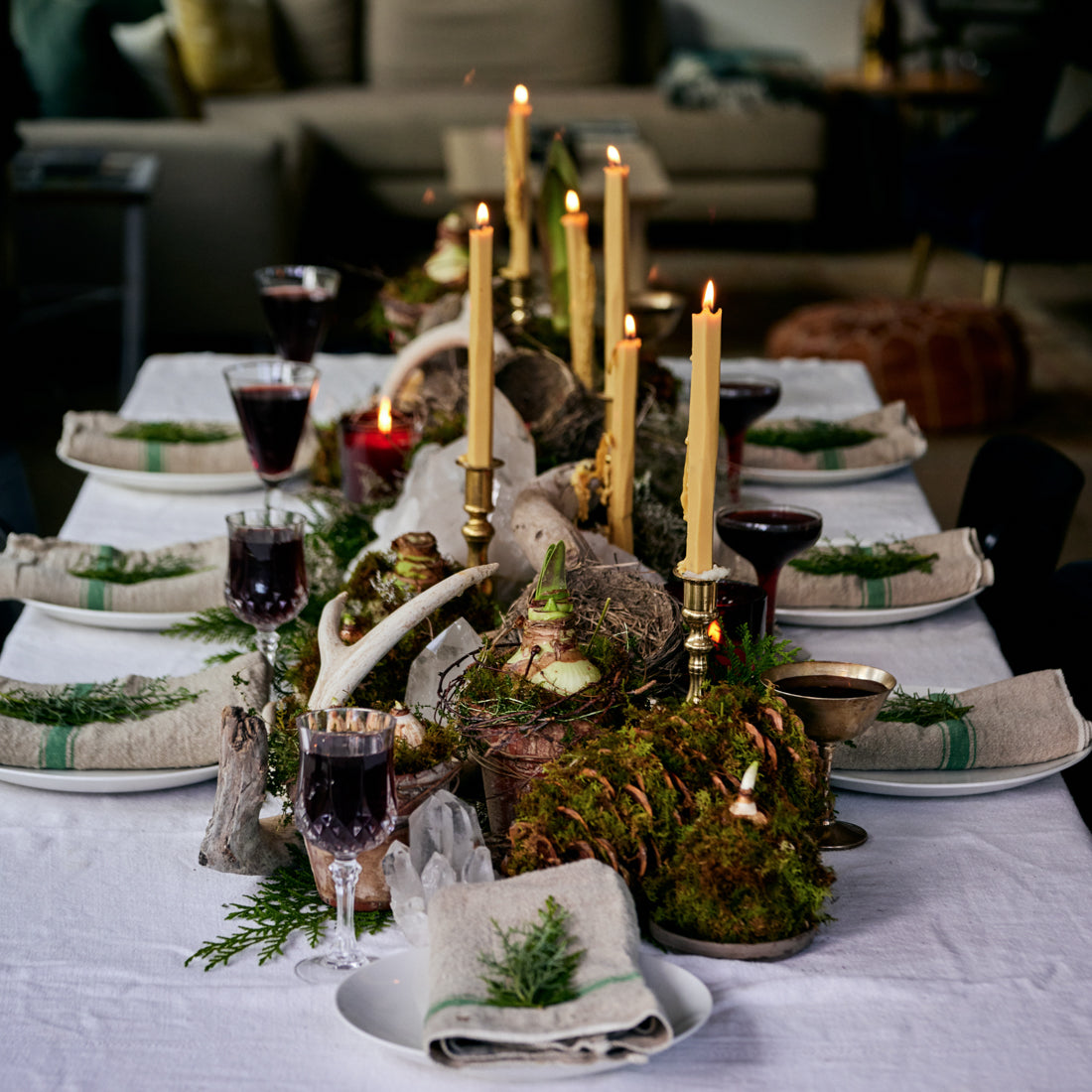 Paperwhite Kokedama 3 piece holiday set