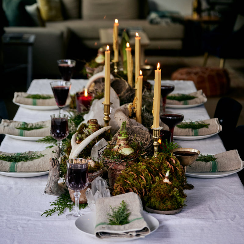 Paperwhite Kokedama 3 piece holiday set