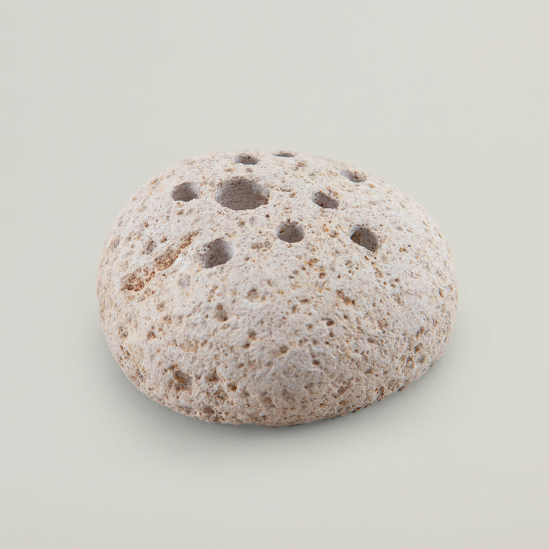 Round stone frog